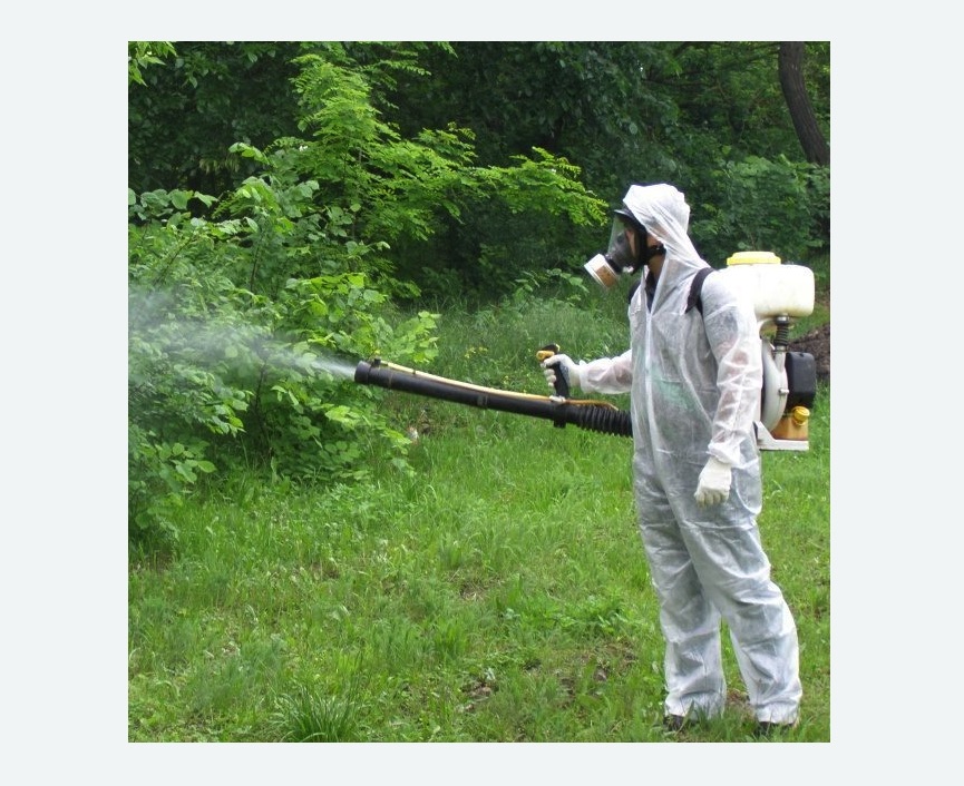 обработка территории от клещей в Перевицком Торжке