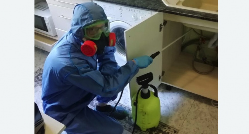 Уничтожение муравьев в квартире. Перевицкий Торжок