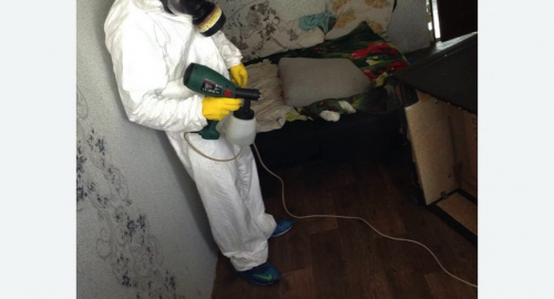 Обработка квартир от насекомых в Перевицком Торжке