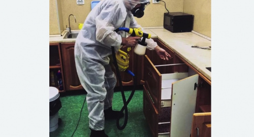 Дезинсекция квартиры. Перевицкий Торжок