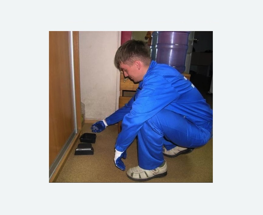 Дератизация крыс в Перевицком Торжке