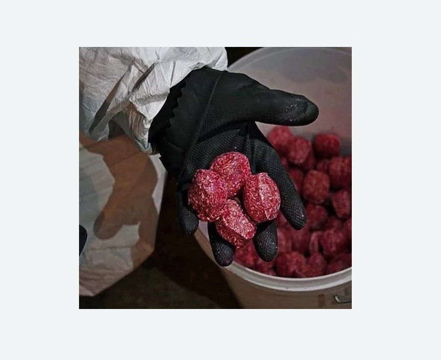 Обработка от крыс в Перевицком Торжке