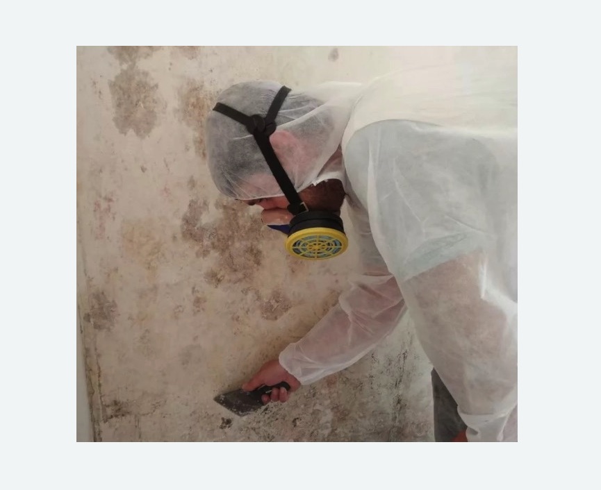 Обработка стен от плесени в Перевицком Торжке
