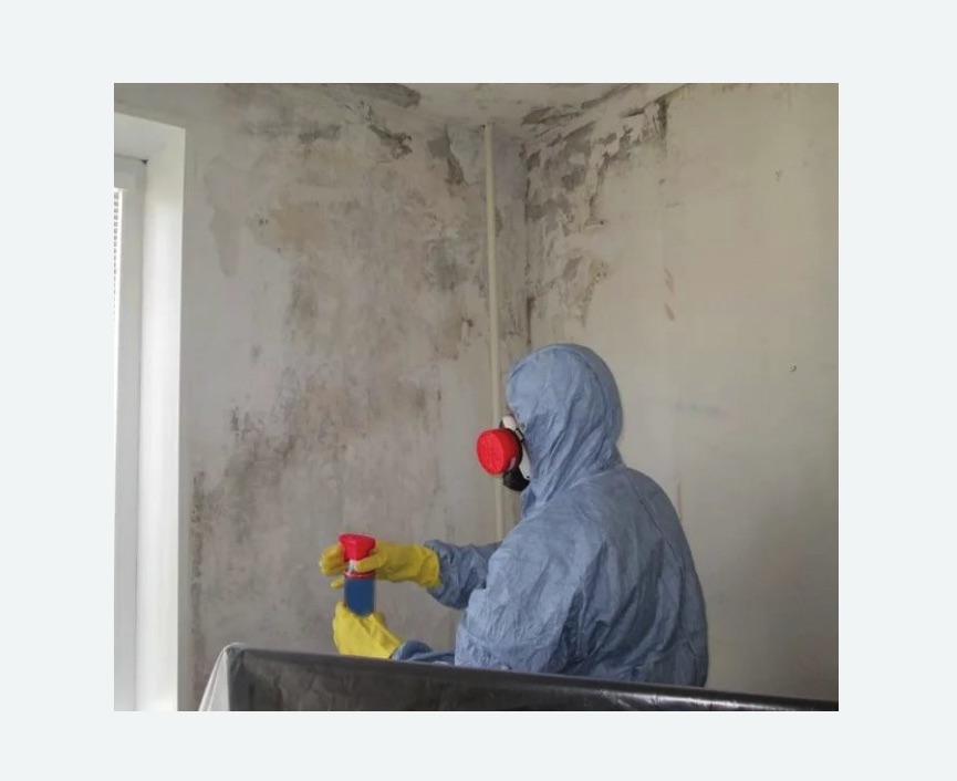 Удаление плесени в квартире в Перевицком Торжке