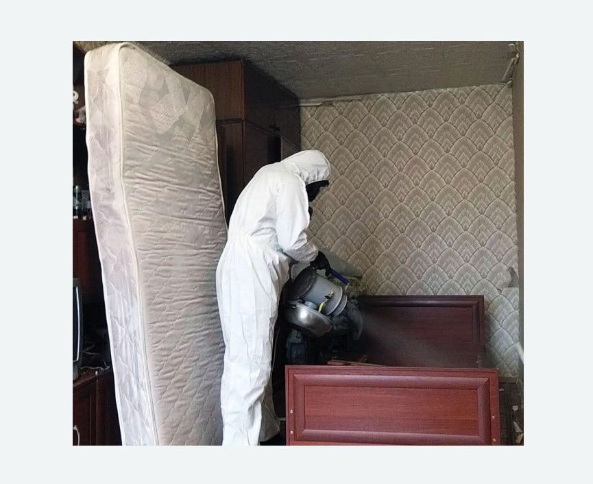 дезинфекция от клопов в Перевицком Торжке