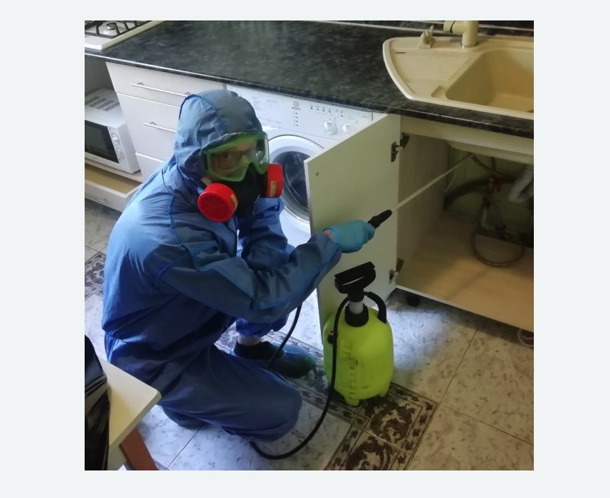 обработка от муравьев в квартире в Перевицком Торжке