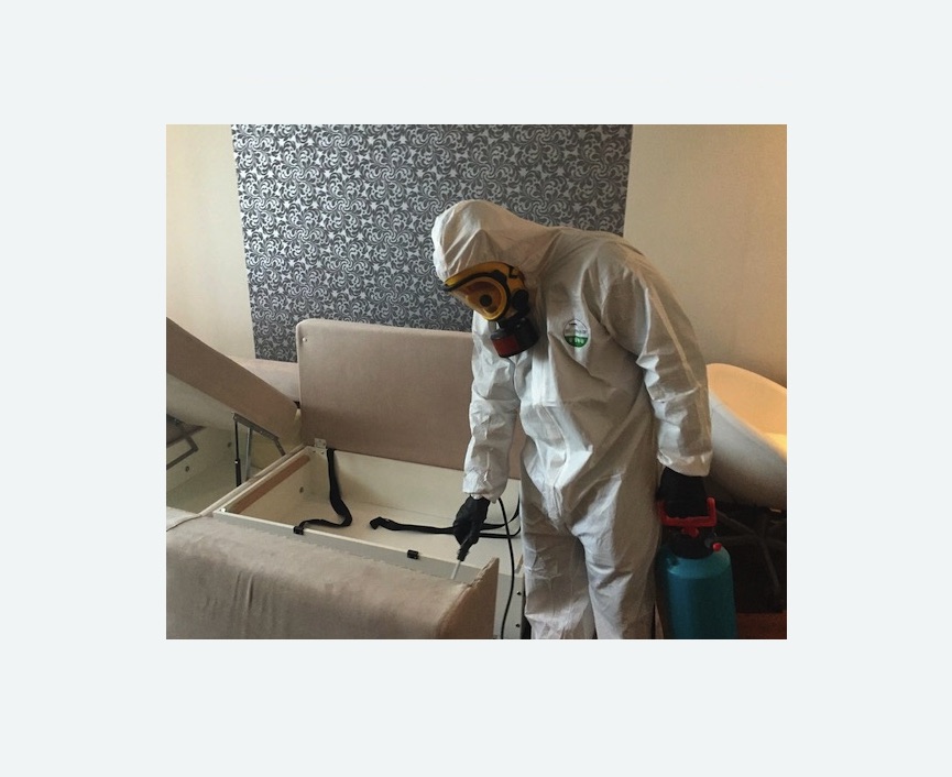 уничтожение клопов в квартире в Перевицком Торжке