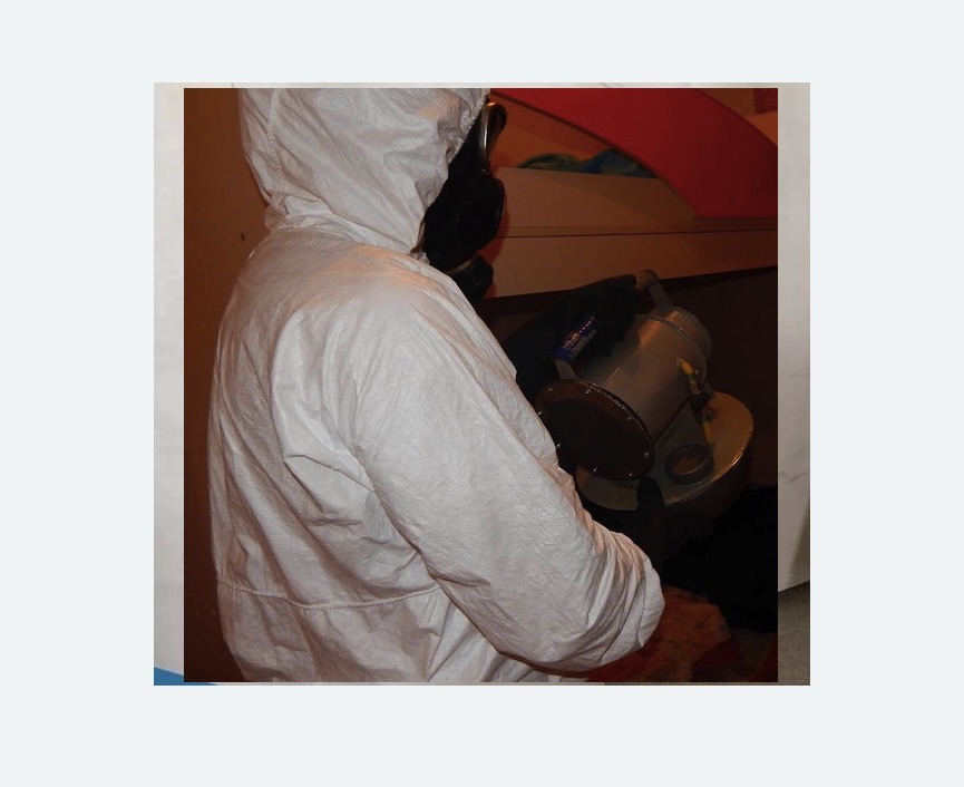 Дезинфекция от муравьев в Перевицком Торжке